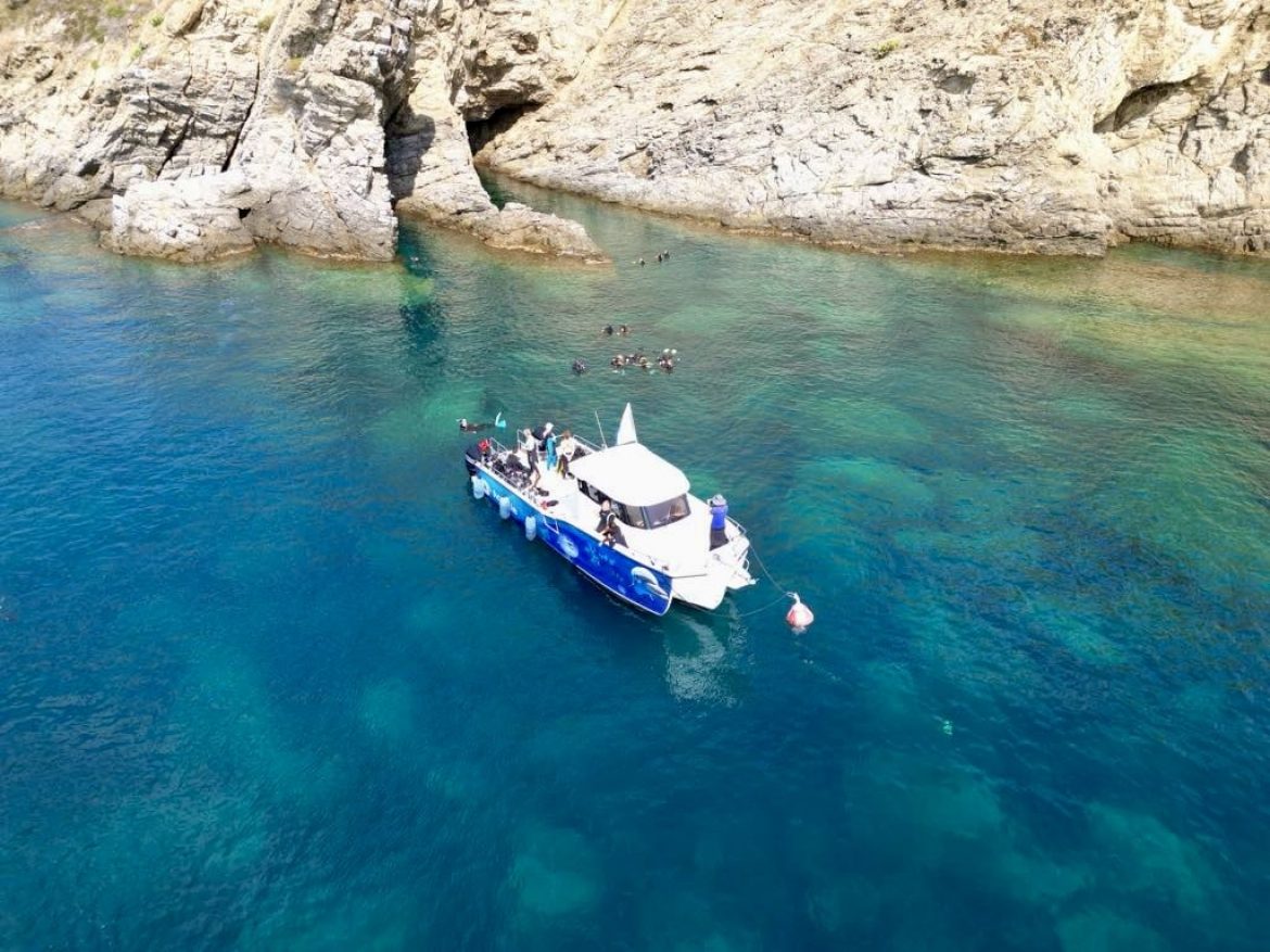 Plongeurs, sentinelles de la mer – Quand passion et engagement se rencontrent sous l’eau