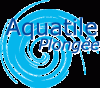 logo-Aqua-Cyan-Reflex